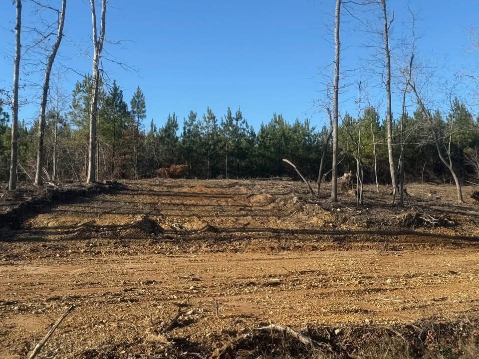 1 B Bruton Branch Road Savannah, TN 38372 - Photo 9 of 9 View of nature