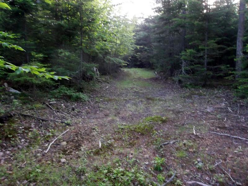 Xx Xx Western Lake Road Robbinston, ME 04671 - Photo 4 of 4 100_8715