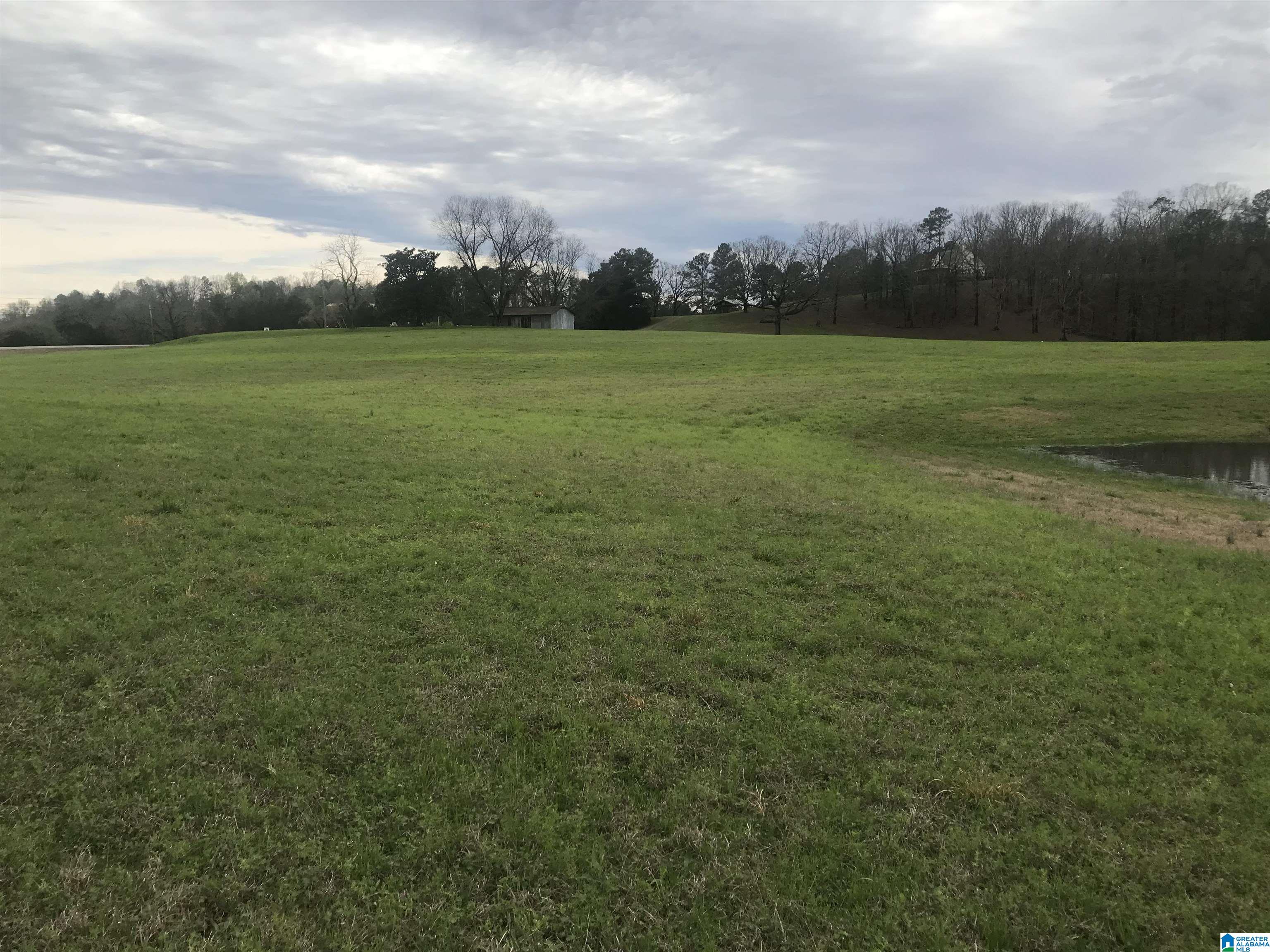 33195 Highway 79 Cleveland, AL 35049 - Photo 14 of 57