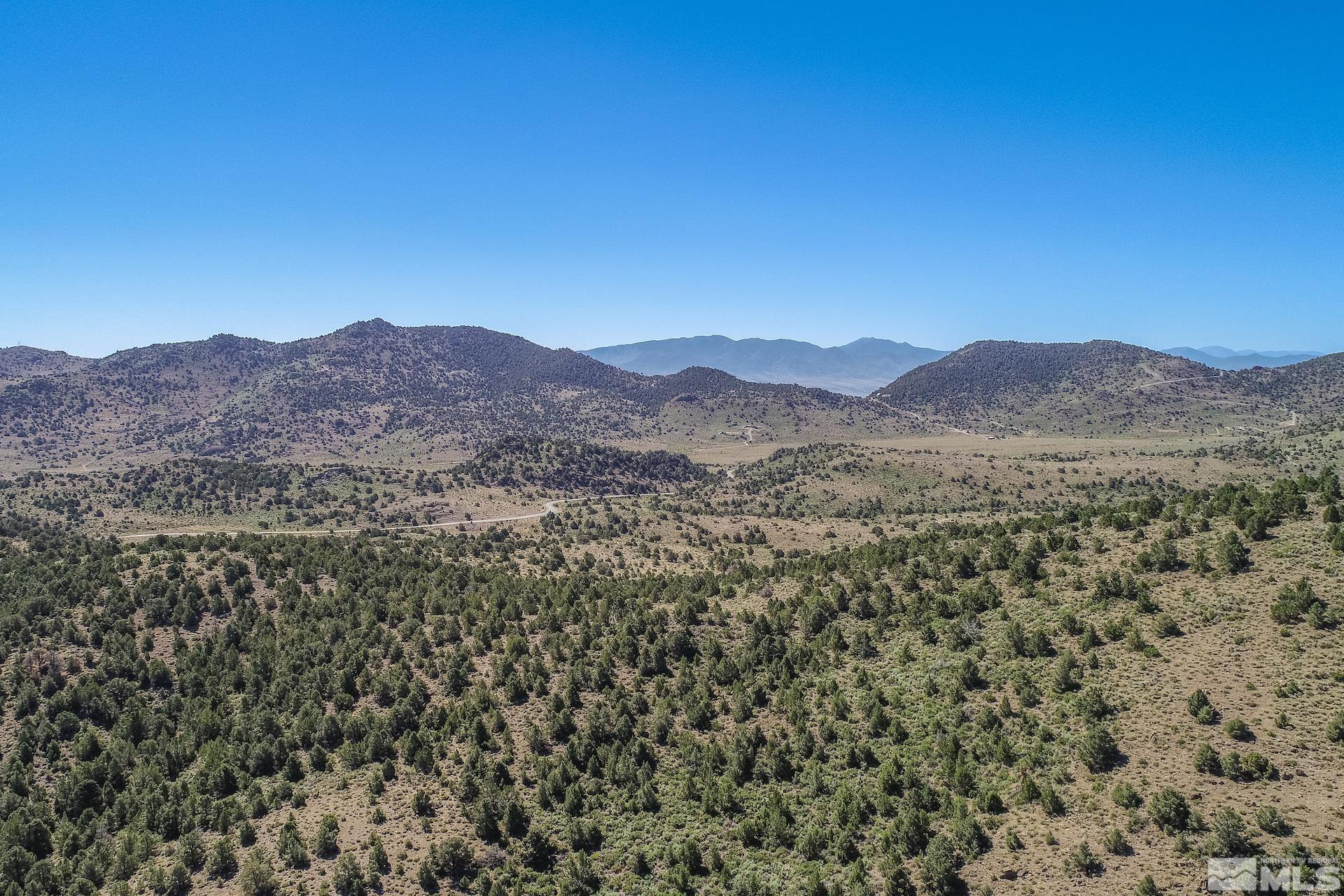 4600 Tybo Road Reno, NV 89521 - Photo 40 of 40 a view of a mountain range with a lush green forest