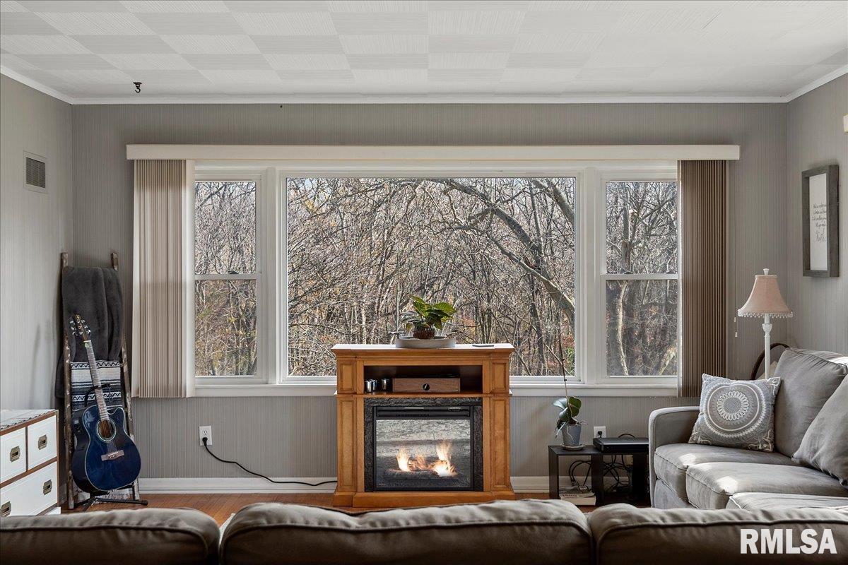170 North John Wayne Road Dawson, IL 62520 - Photo 11 of 52 Gallery Image 11