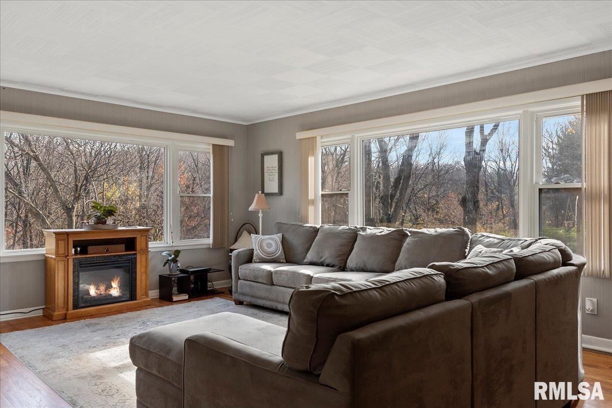 170 North John Wayne Road Dawson, IL 62520 - Photo 12 of 52 Gallery Image 12