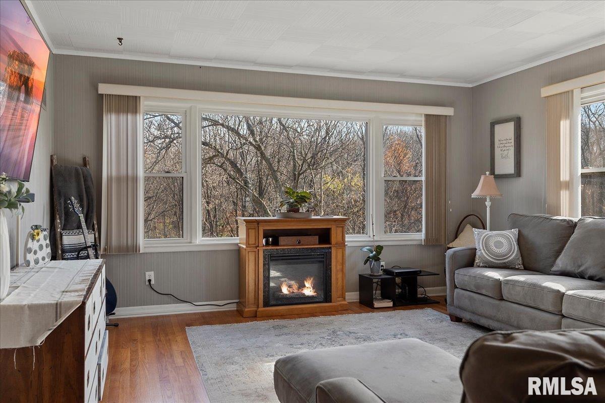 170 North John Wayne Road Dawson, IL 62520 - Photo 13 of 52 Gallery Image 13