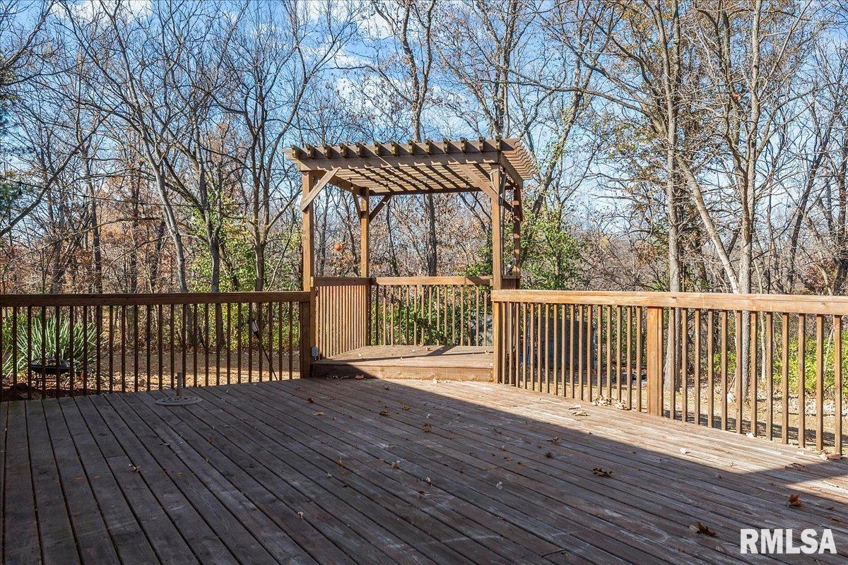 170 North John Wayne Road Dawson, IL 62520 - Photo 43 of 52 Gallery Image 43