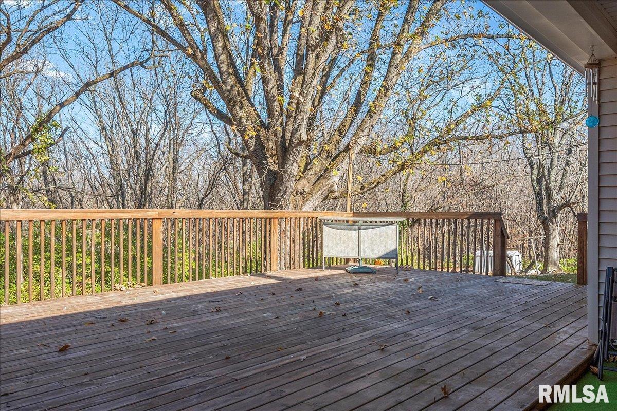 170 North John Wayne Road Dawson, IL 62520 - Photo 44 of 52 Gallery Image 44
