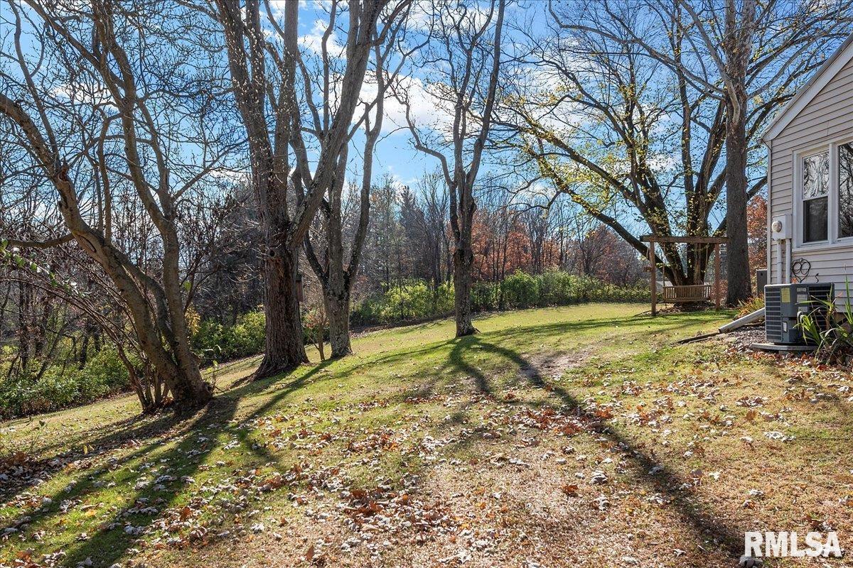 170 North John Wayne Road Dawson, IL 62520 - Photo 45 of 52 Gallery Image 45