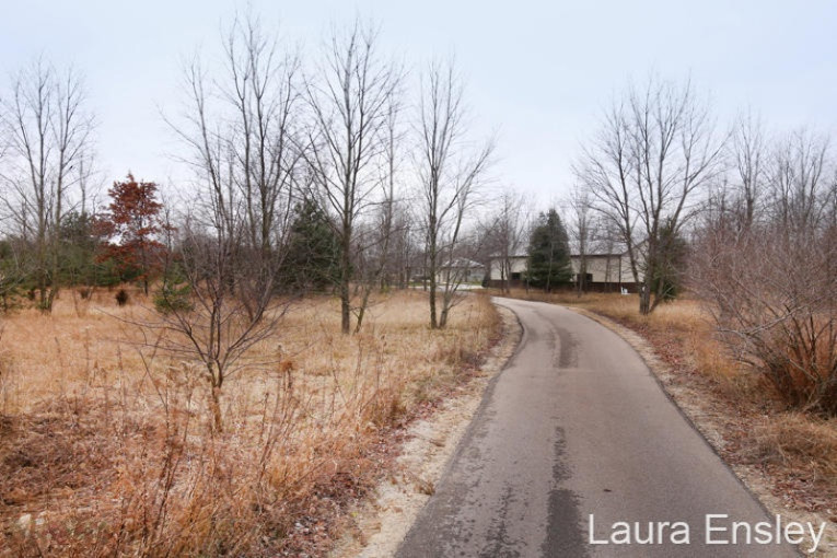 6761 Dumon Road Belding, MI 48809 - Photo 34 of 34 IMG_5095