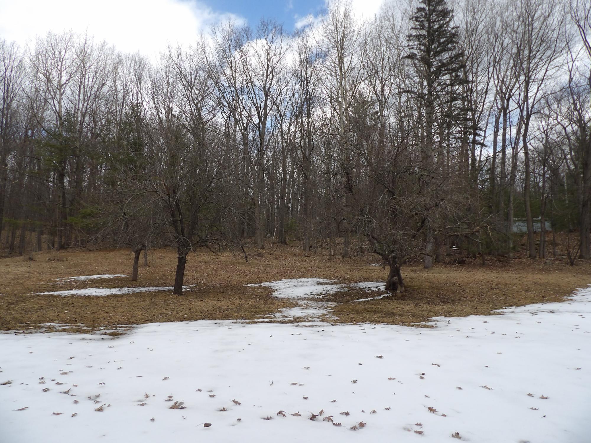 4530 Cth P Rhinelander, WI 54501 - Photo 11 of 22 Gallery Image 11