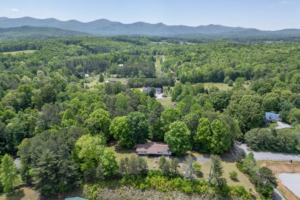 99 Copperhead Road Blairsville, GA 30512 - Photo 42 of 44 Gallery Image 42
