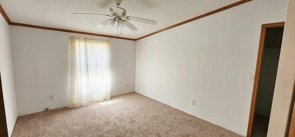 3112 Santee River Road St. Stephen, SC 29479 - Photo 15 of 71 3112 Santee River Rd (1)