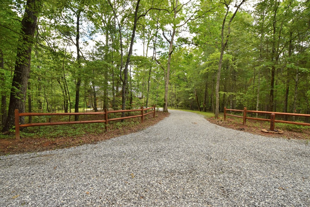 149 Ridge Brook Drive Morganton, GA 30560 - Photo 3 of 49 Gallery Image 3