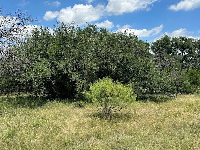-tract 19 165 County Road Blanket, TX 76474 - Photo 4 of 11 Gallery Image 4