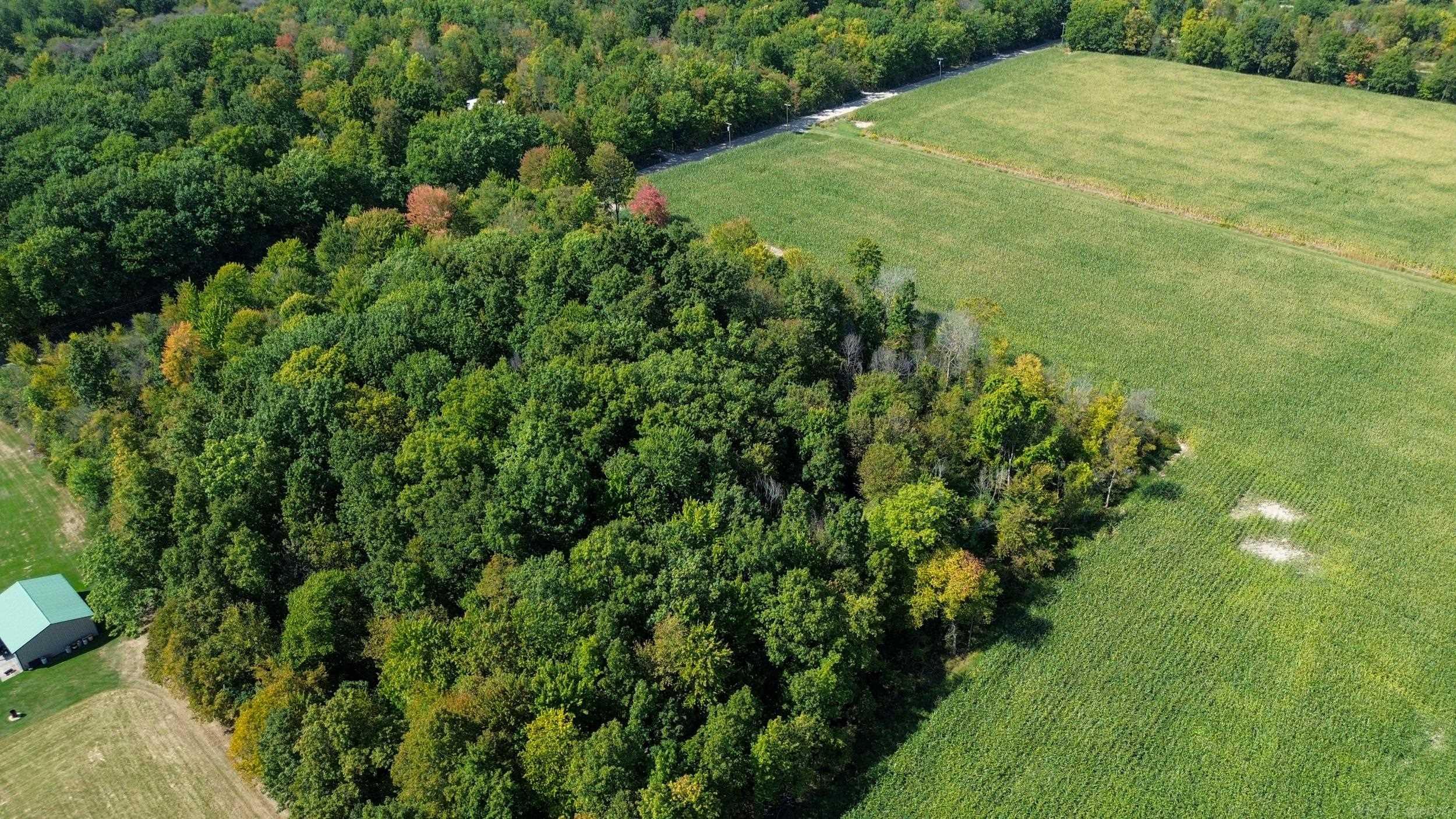 0 Lowe Plank Road Richmond, MI 48062 - Photo 5 of 8