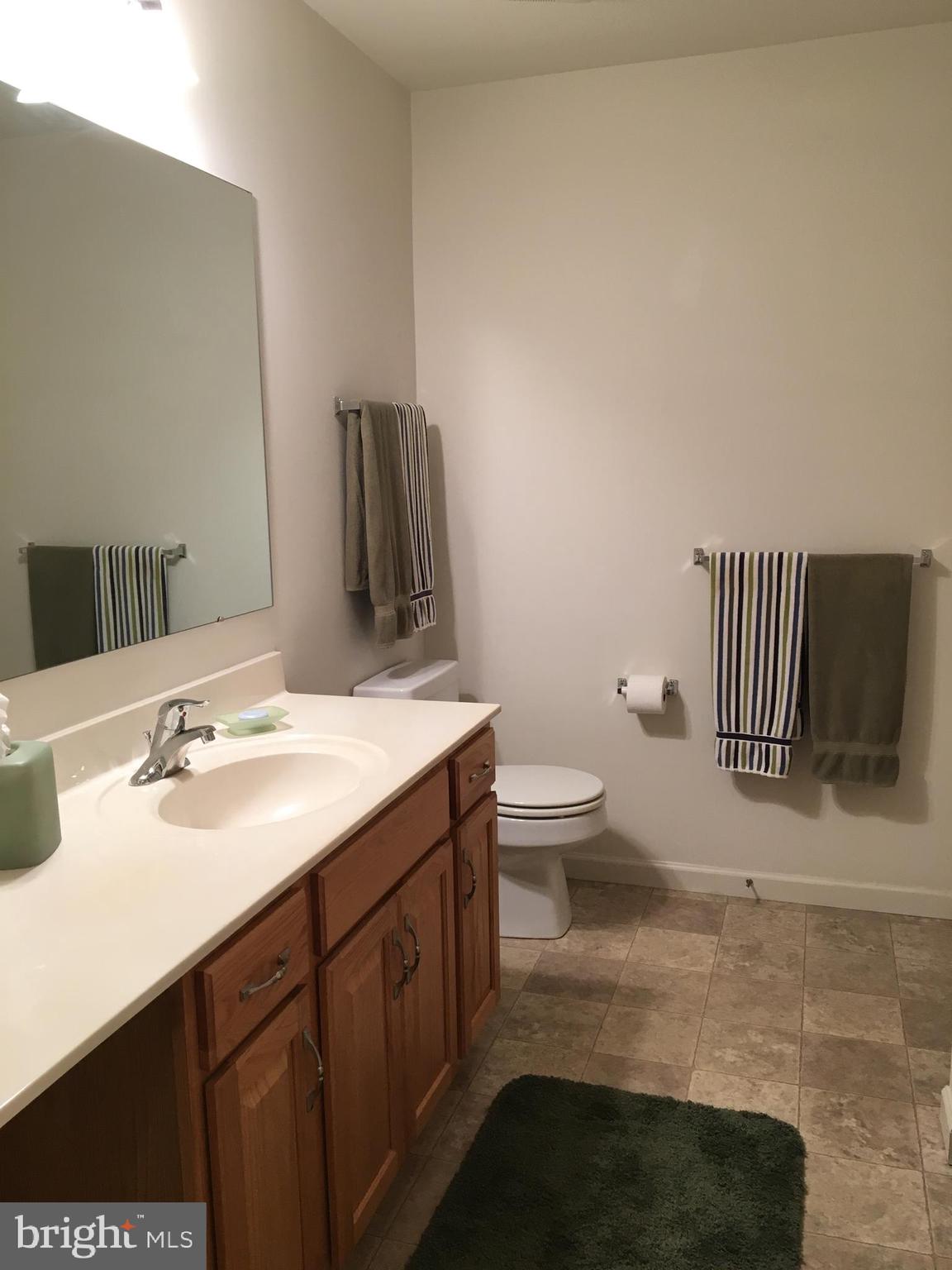 204 Marshview Road Stewartstown, PA 17363 - Photo 14 of 17 Master Bath