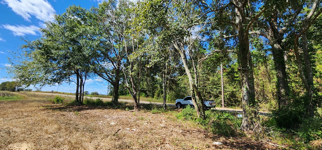 92 County Road 92 Slocomb, AL 36375 - Photo 12 of 32