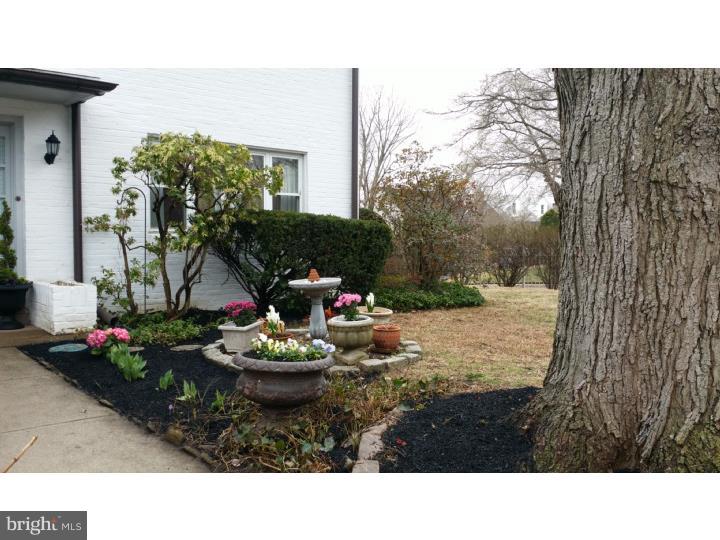 17 Henley Road Wynnewood, PA 19096 - Photo 2 of 21 Gallery Image 2
