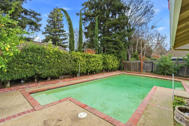 a view of a backyard with potted plants and large trees