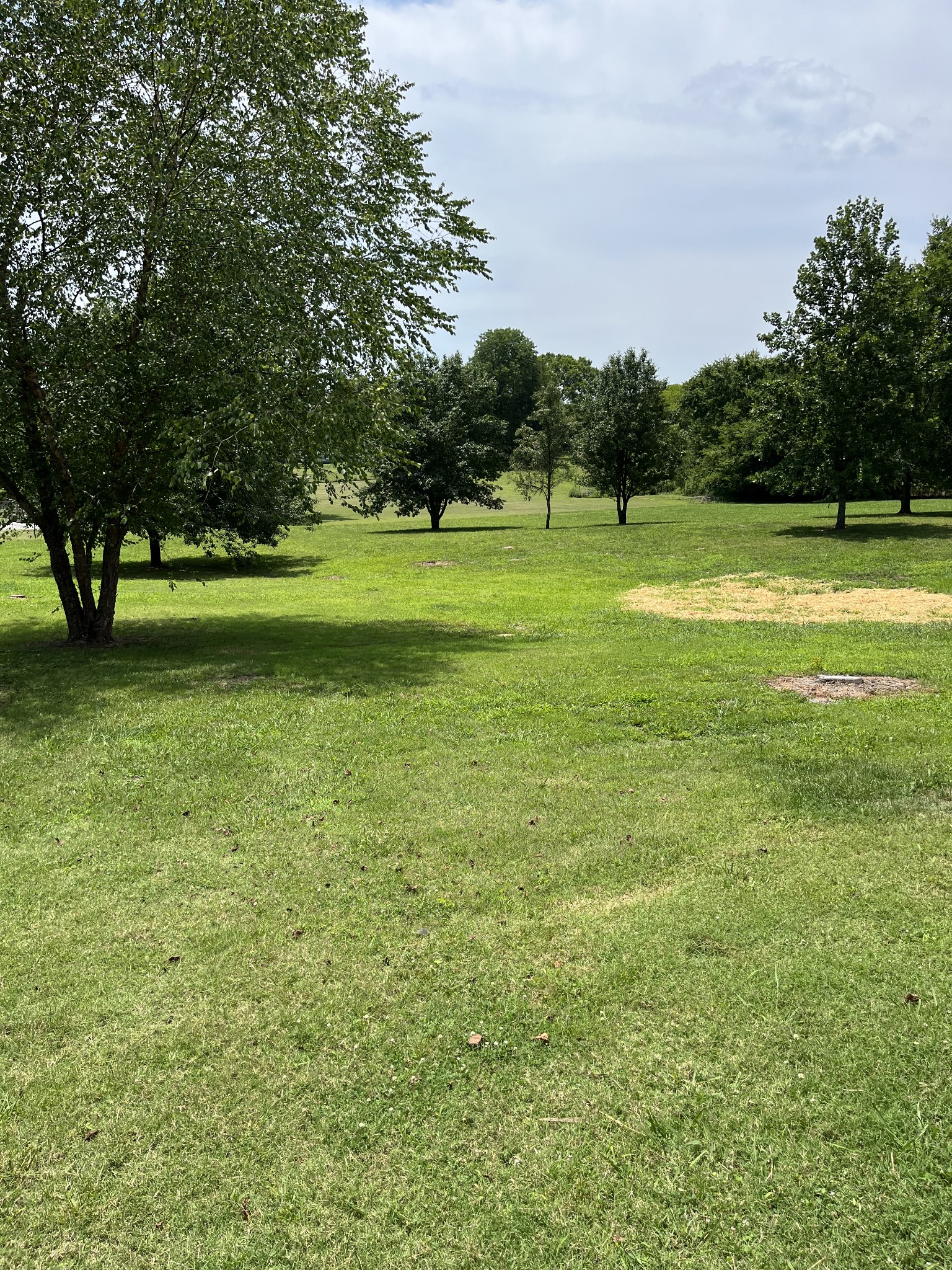 5380 Chicken Road Lebanon, TN 37090 - Photo 5 of 17 a view of a green field