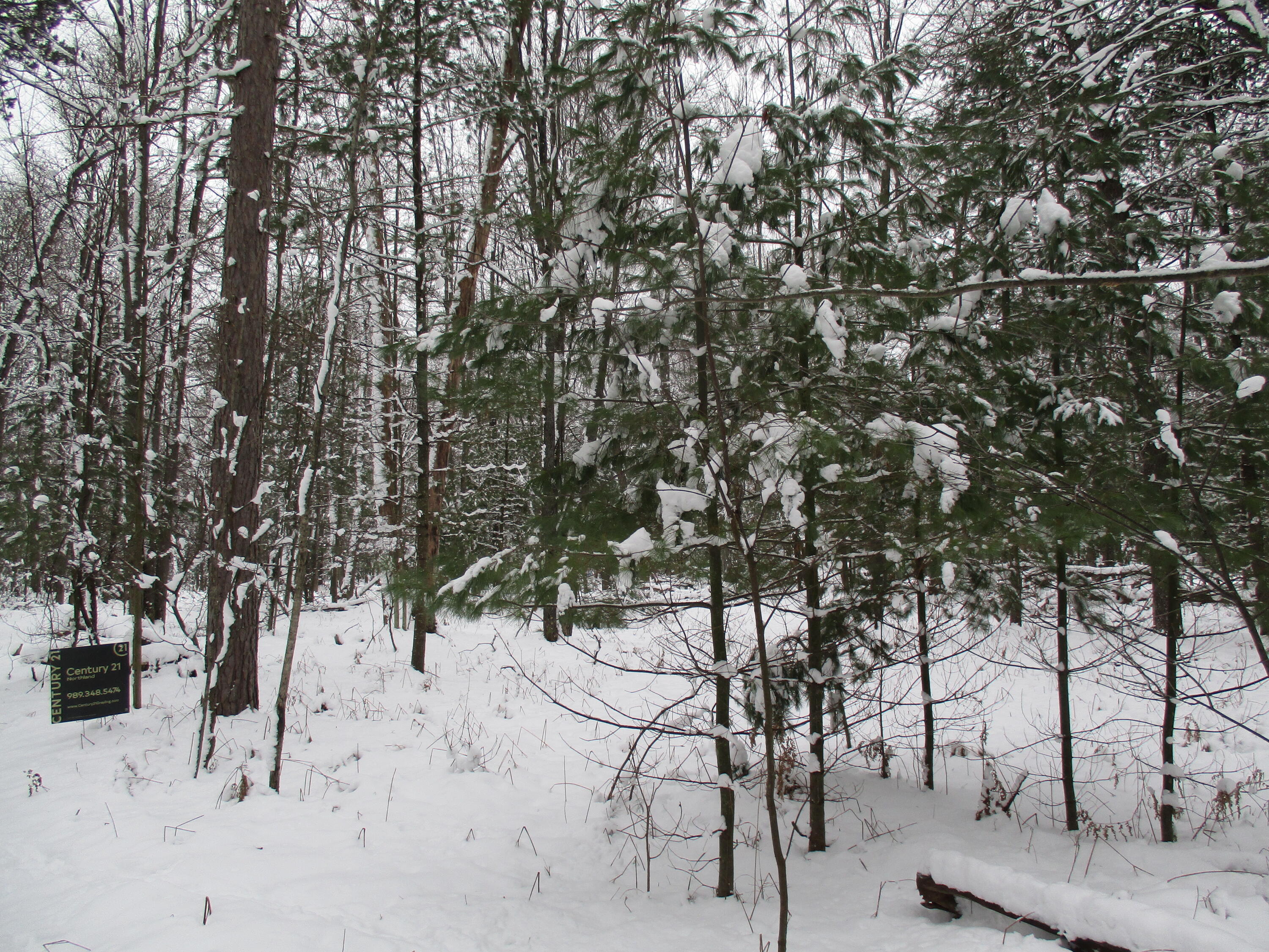Trem Pal Road Grayling, MI 49738 - Photo 8 of 11 Gallery Image 8
