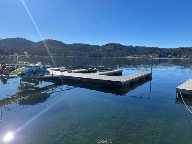 a view of trees and lake view