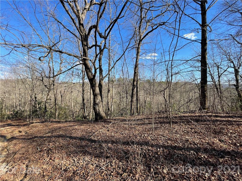 3 Old Toxaway Road Brevard, NC 28712 - Photo 1 of 24 Gallery Image 1