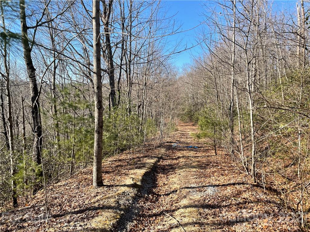 3 Old Toxaway Road Brevard, NC 28712 - Photo 2 of 24 Gallery Image 2