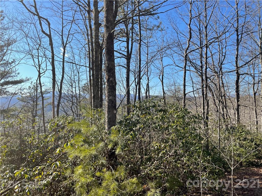 3 Old Toxaway Road Brevard, NC 28712 - Photo 11 of 24 Gallery Image 11