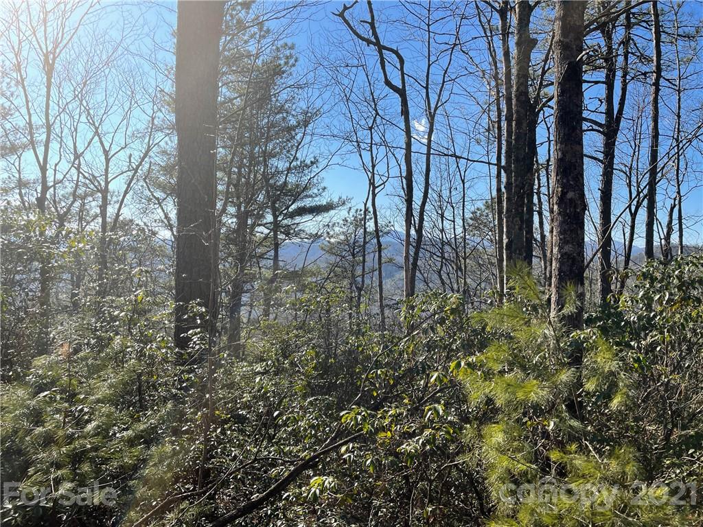 3 Old Toxaway Road Brevard, NC 28712 - Photo 12 of 24 Gallery Image 12