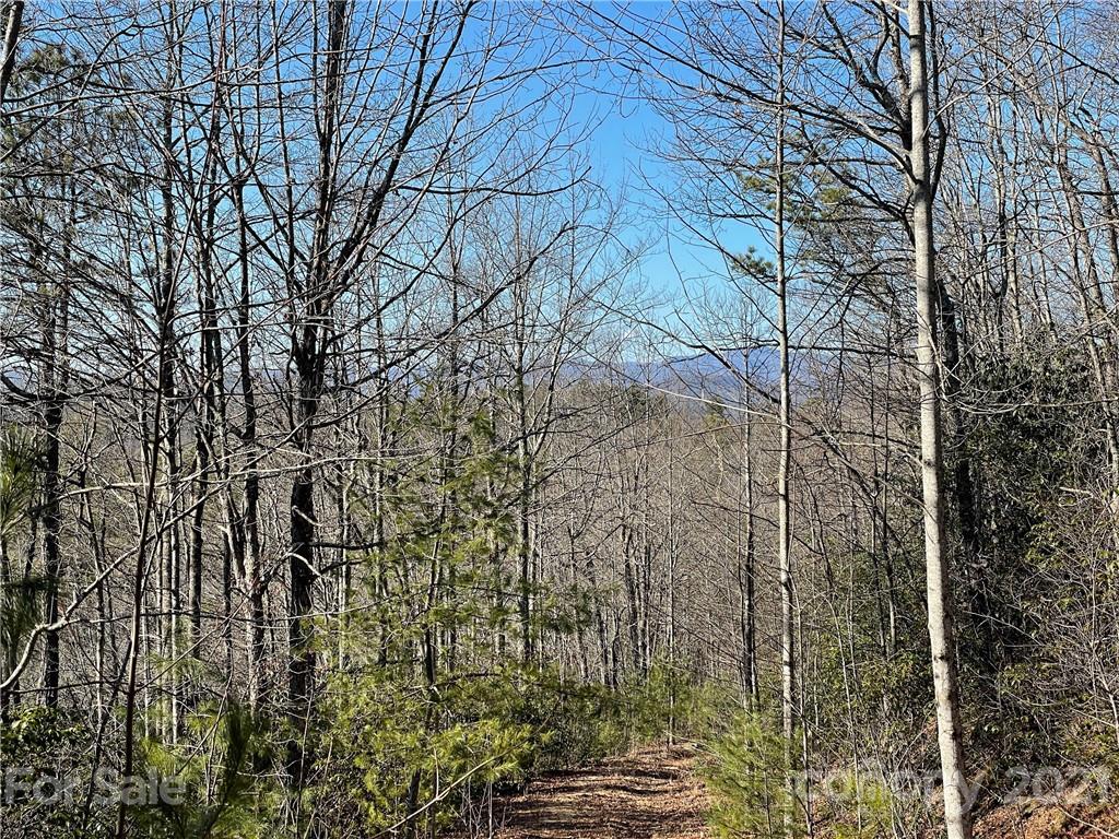 3 Old Toxaway Road Brevard, NC 28712 - Photo 13 of 24 Gallery Image 13