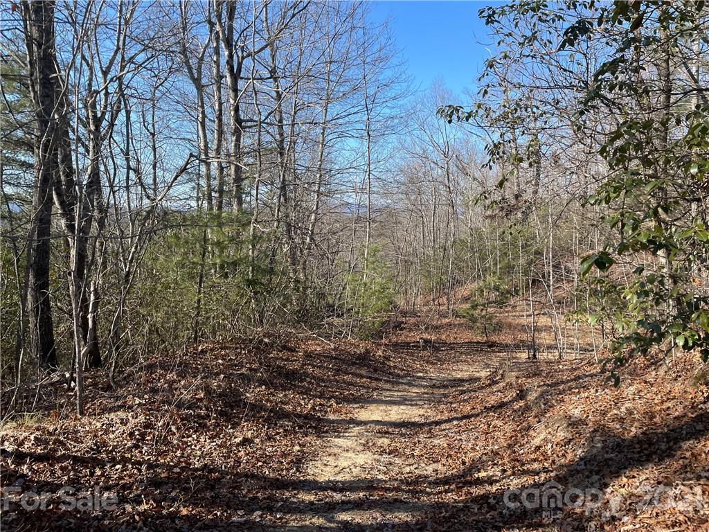 3 Old Toxaway Road Brevard, NC 28712 - Photo 14 of 24 Gallery Image 14