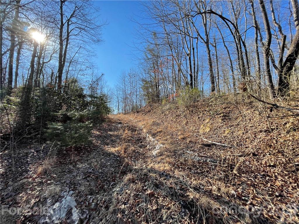 3 Old Toxaway Road Brevard, NC 28712 - Photo 15 of 24 Gallery Image 15