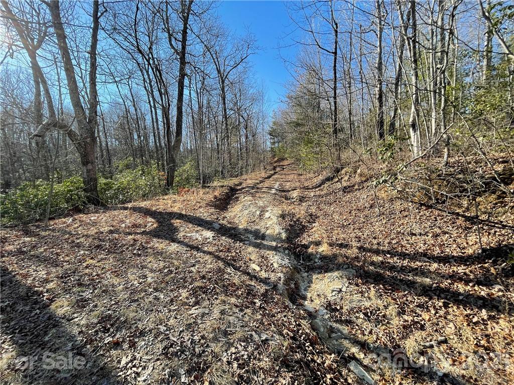 3 Old Toxaway Road Brevard, NC 28712 - Photo 16 of 24 Gallery Image 16