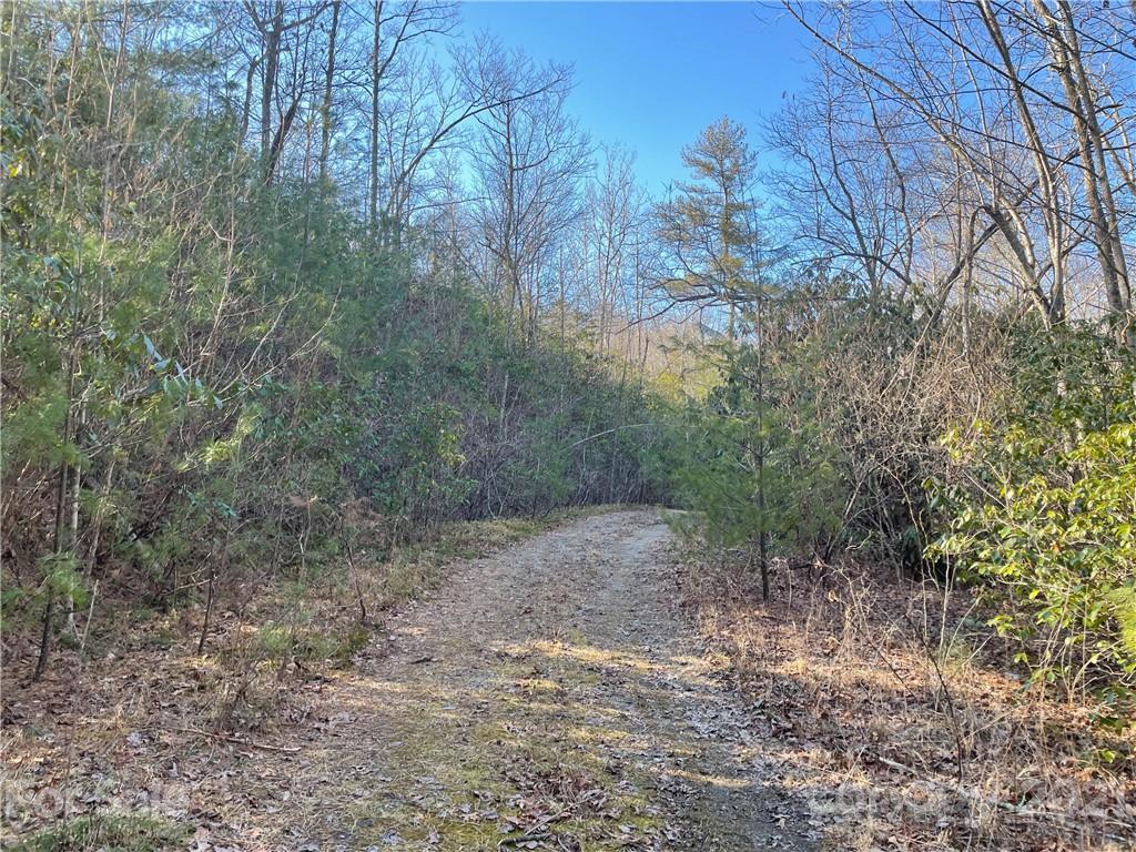 3 Old Toxaway Road Brevard, NC 28712 - Photo 17 of 24 Gallery Image 17