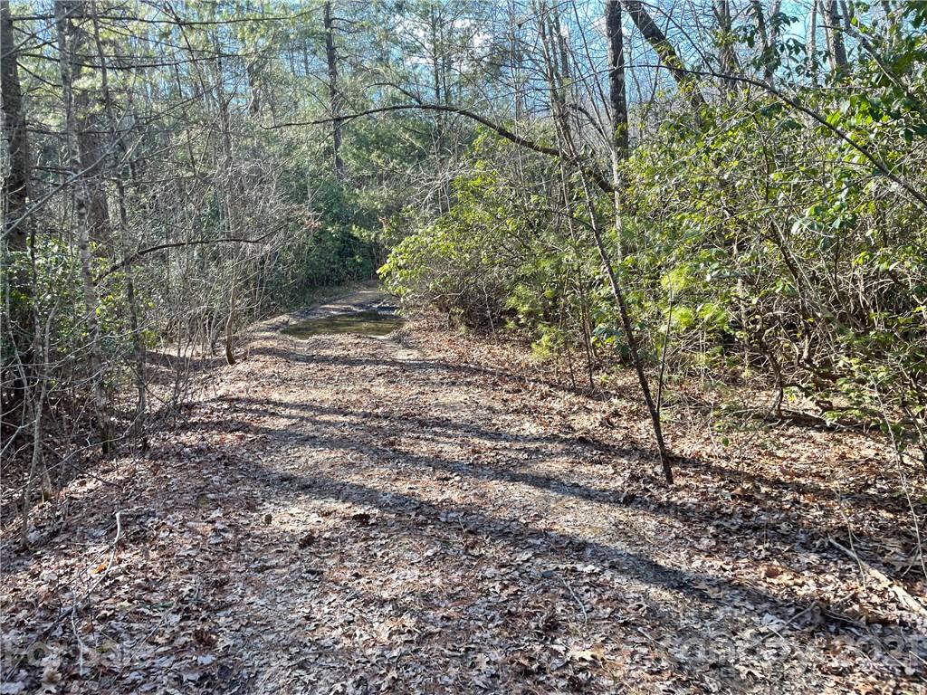 3 Old Toxaway Road Brevard, NC 28712 - Photo 18 of 24 Gallery Image 18