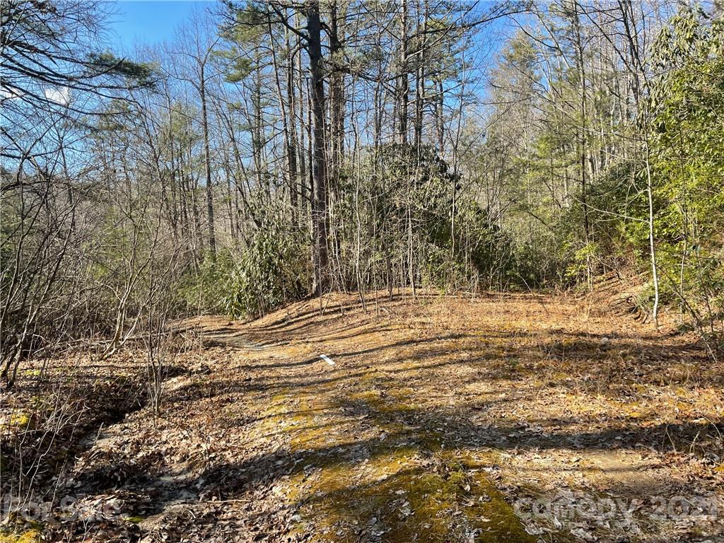 3 Old Toxaway Road Brevard, NC 28712 - Photo 19 of 24 Gallery Image 19