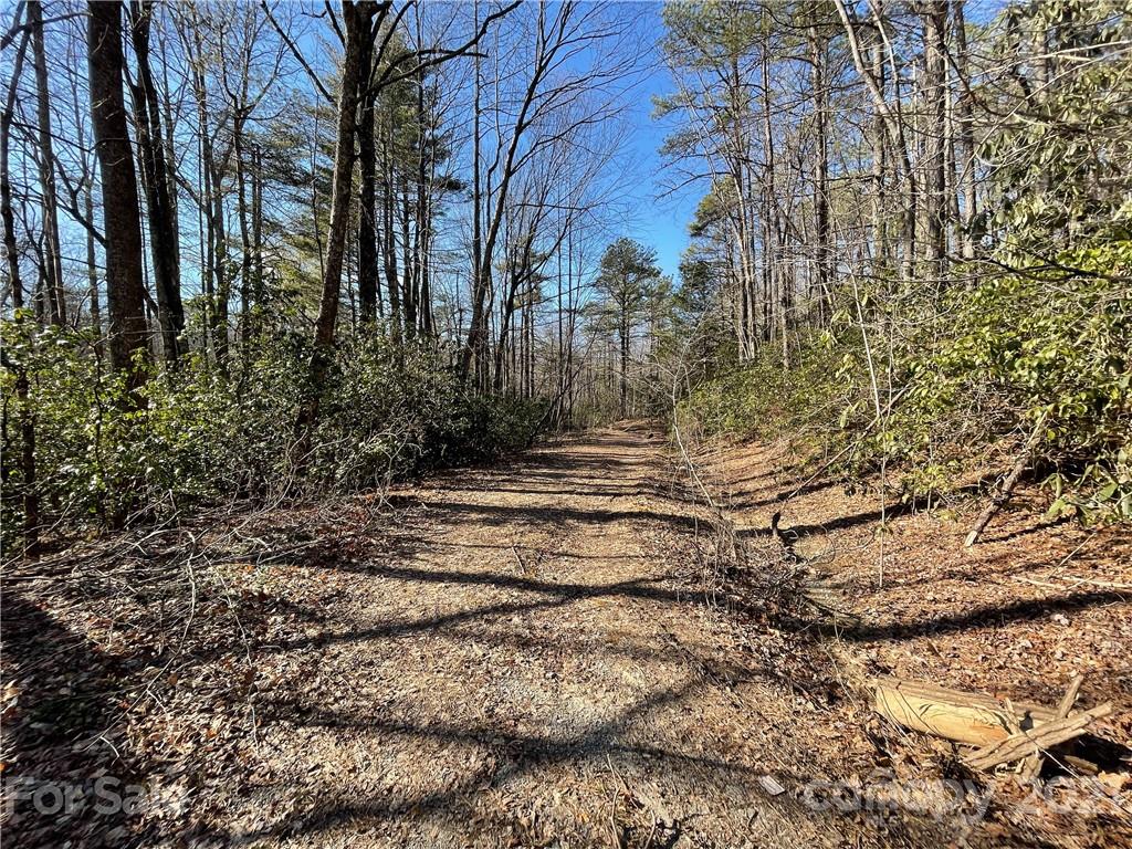 3 Old Toxaway Road Brevard, NC 28712 - Photo 20 of 24 Gallery Image 20