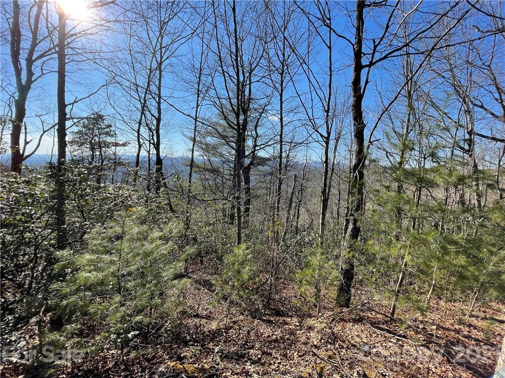 3 Old Toxaway Road Brevard, NC 28712 - Photo 3 of 24 Gallery Image 3