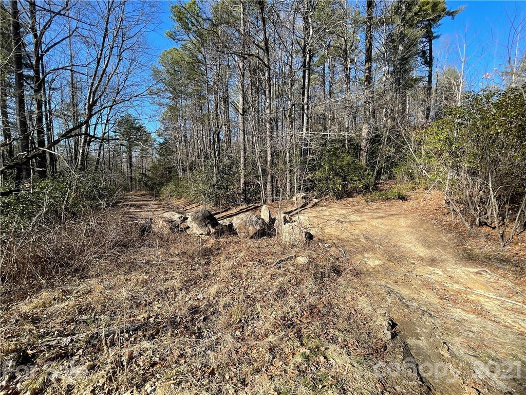 3 Old Toxaway Road Brevard, NC 28712 - Photo 21 of 24 Gallery Image 21