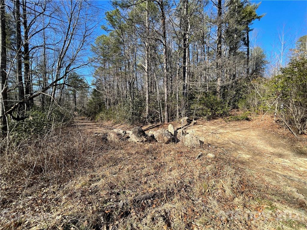 3 Old Toxaway Road Brevard, NC 28712 - Photo 22 of 24 Gallery Image 22