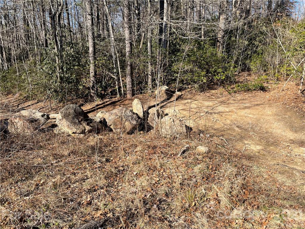 3 Old Toxaway Road Brevard, NC 28712 - Photo 23 of 24 Gallery Image 23