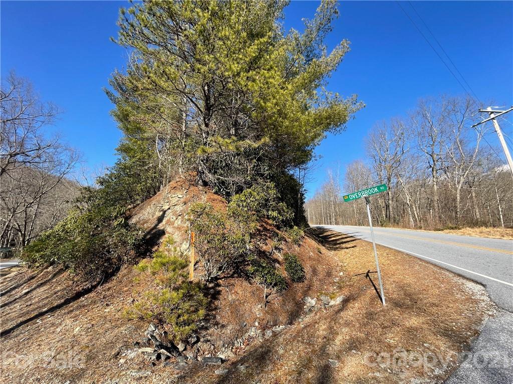 3 Old Toxaway Road Brevard, NC 28712 - Photo 24 of 24 Gallery Image 24