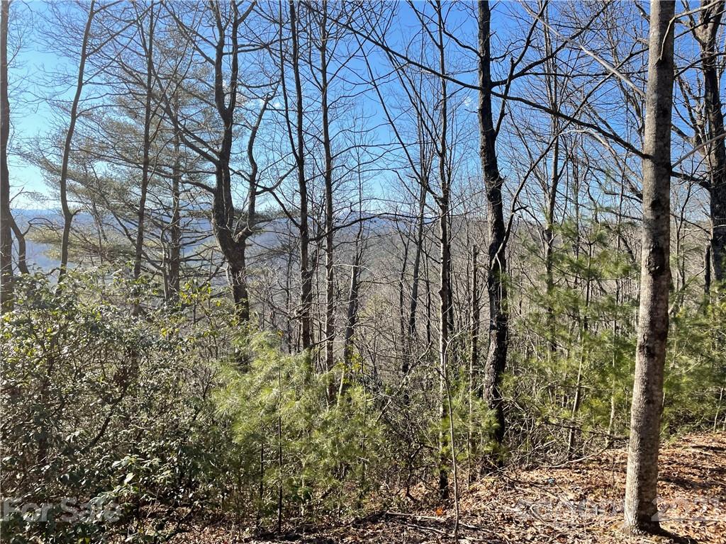 3 Old Toxaway Road Brevard, NC 28712 - Photo 4 of 24 Gallery Image 4