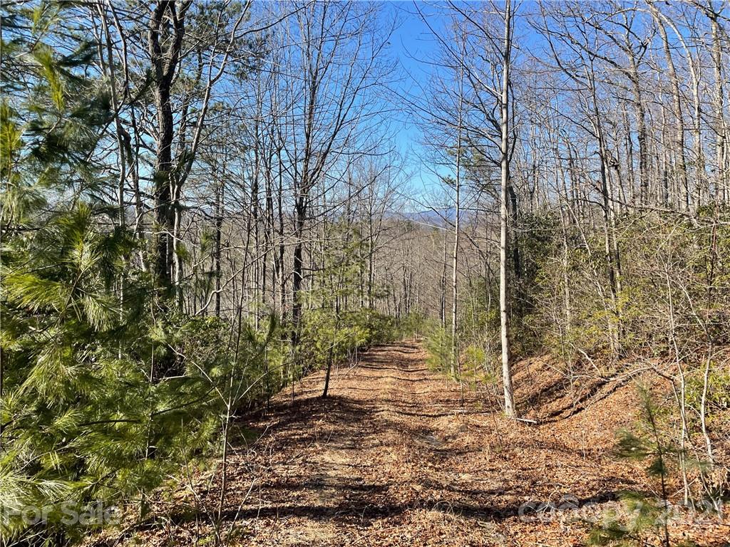 3 Old Toxaway Road Brevard, NC 28712 - Photo 5 of 24 Gallery Image 5