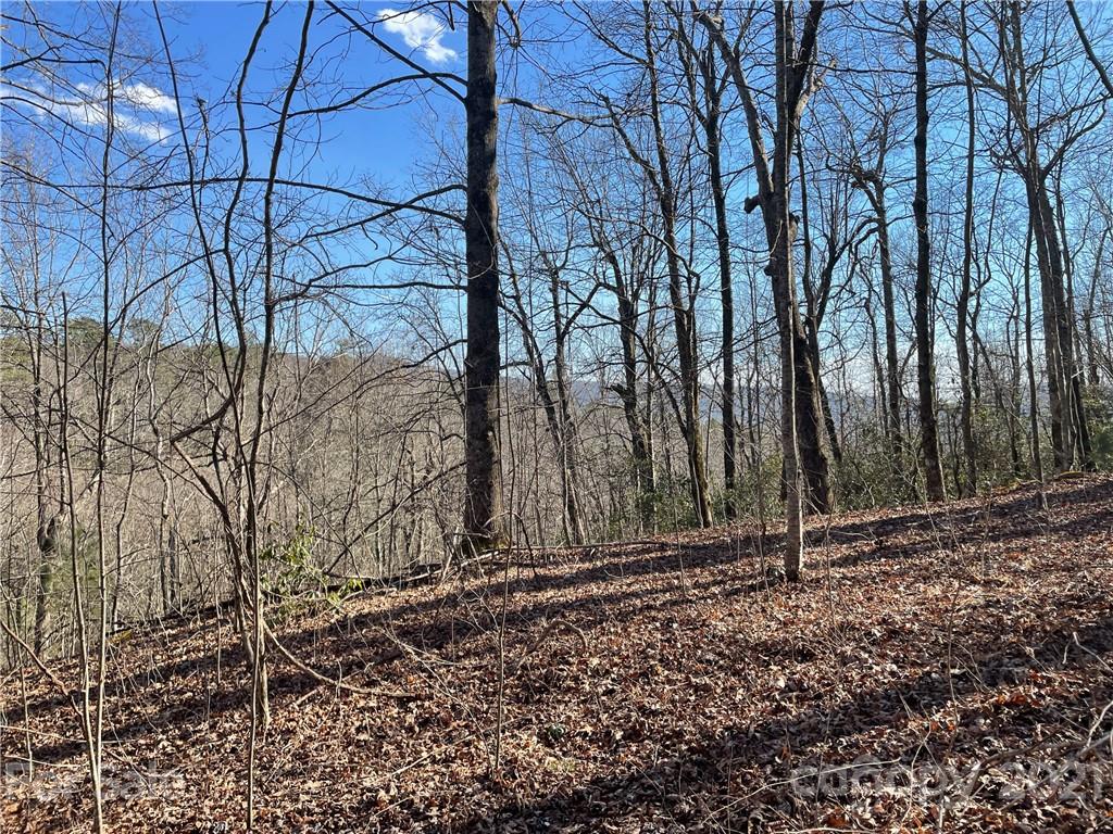 3 Old Toxaway Road Brevard, NC 28712 - Photo 6 of 24 Gallery Image 6