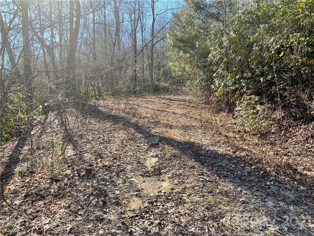 3 Old Toxaway Road Brevard, NC 28712 - Photo 7 of 24 Gallery Image 7
