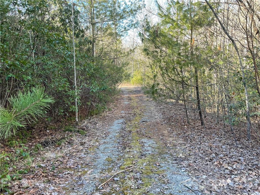 3 Old Toxaway Road Brevard, NC 28712 - Photo 8 of 24 Gallery Image 8