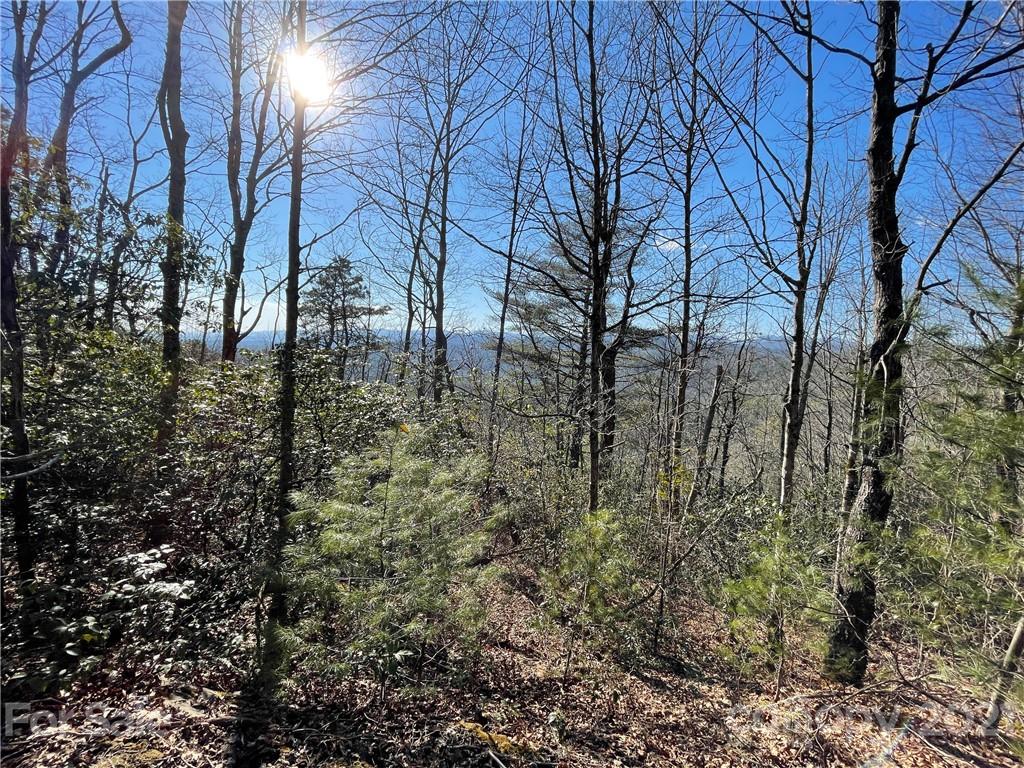 3 Old Toxaway Road Brevard, NC 28712 - Photo 9 of 24 Gallery Image 9