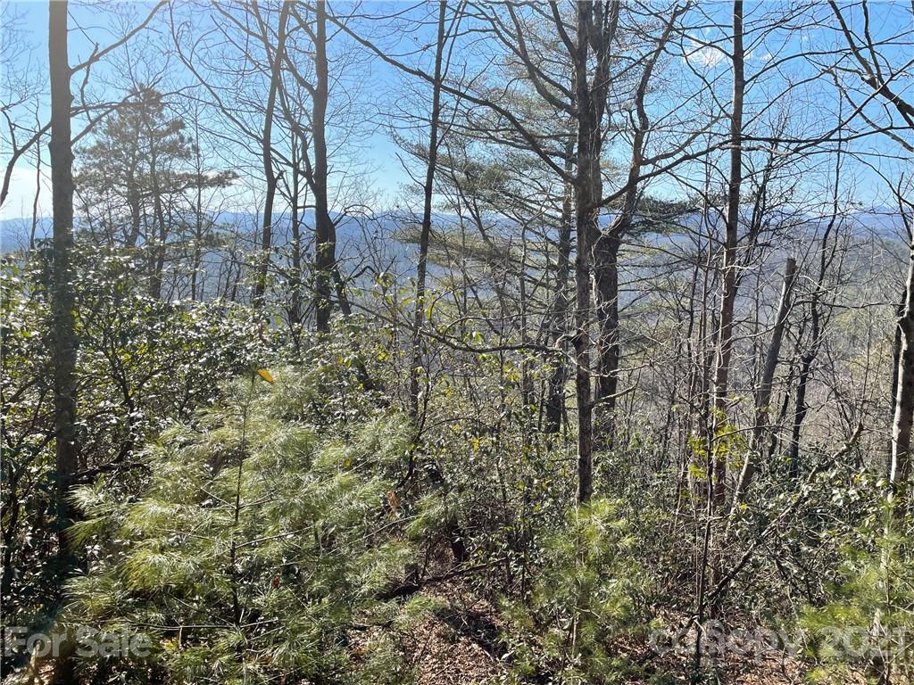 3 Old Toxaway Road Brevard, NC 28712 - Photo 10 of 24 Gallery Image 10