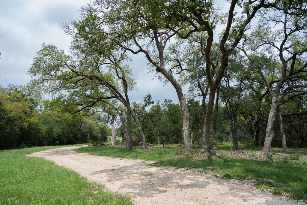 426 Mill Run New Braunfels, TX 78132 - Photo 23 of 40 a fire hydrant in the middle of a yard