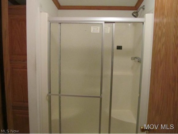 623 Newark Road Elizabeth, WV 26143 - Photo 10 of 18 double seated shower M. Bath